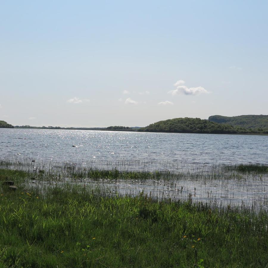 Meadow View *